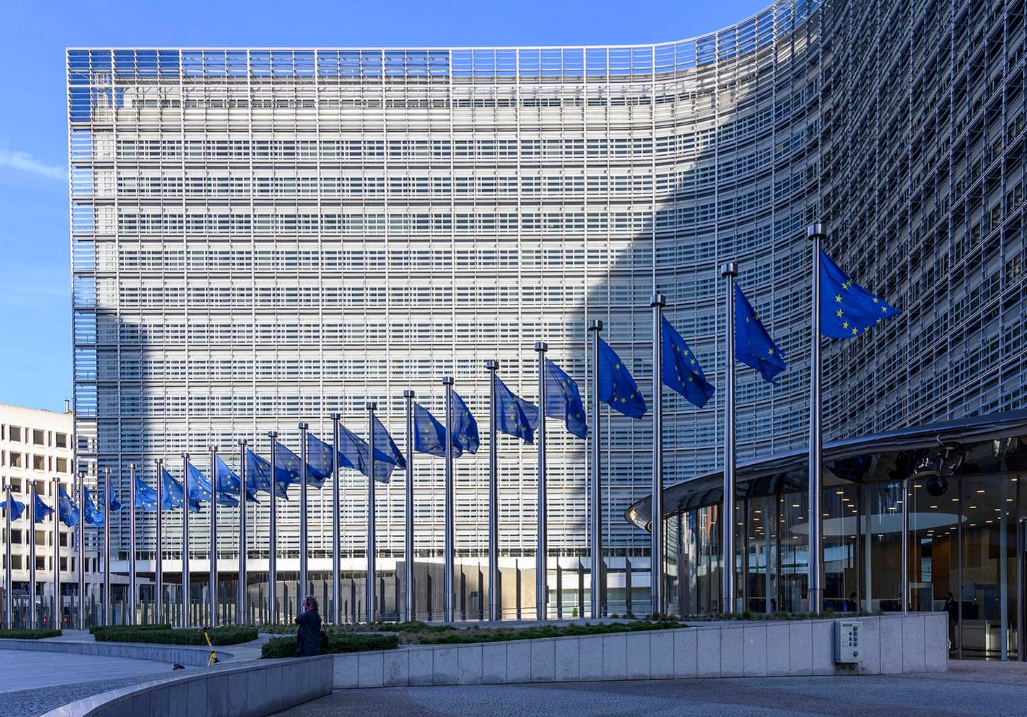 Uniunea Europeană finanțează organizații implicate în protestele din Franța și Italia